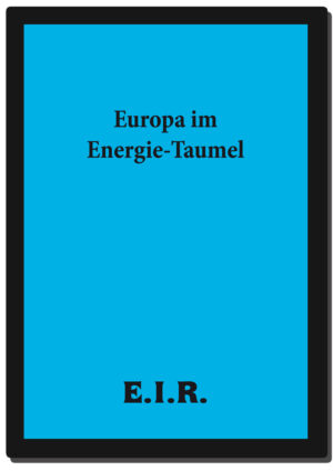 EUROPAIM_E_form_COVER.jpg