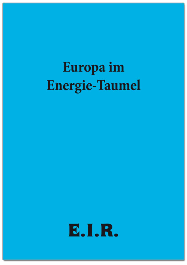 EUROPAIM_form_COVER.jpg